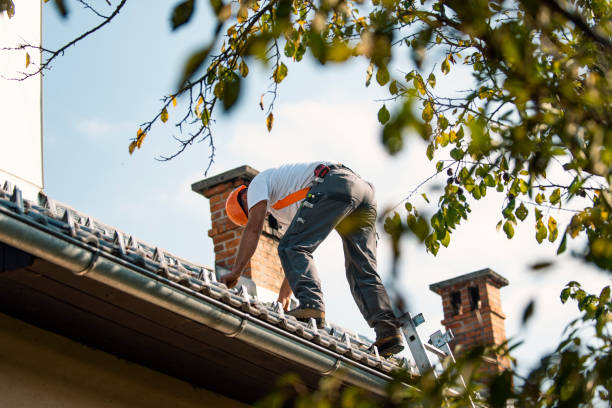 Best Rubber Roofing (EPDM, TPO)  in Binghamton, NY