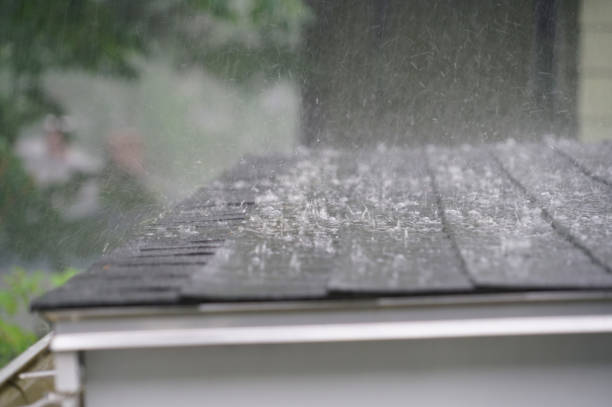 Best Green or Eco-Friendly Roofing Solutions  in Binghamton, NY