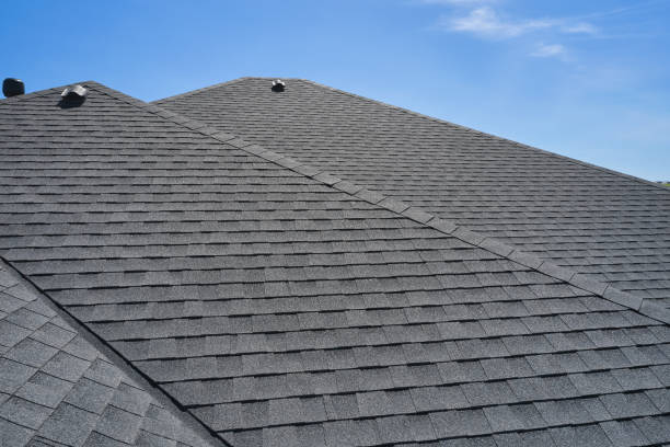 Best Solar Panel Roofing Installation  in Binghamton, NY